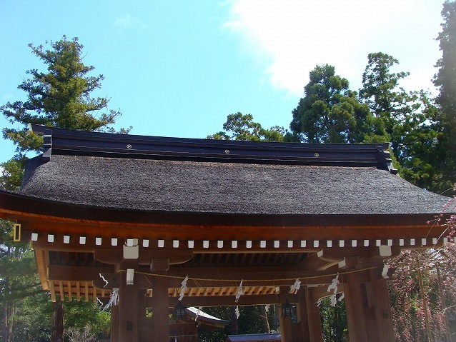 空　と　屋根　(社寺)