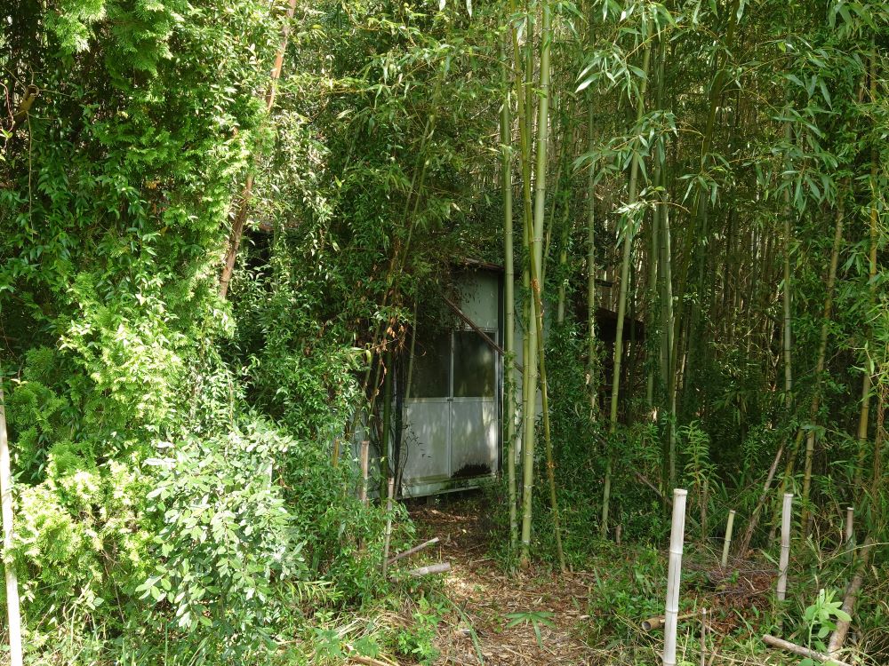 家のリフォーム施工事例：解体工事